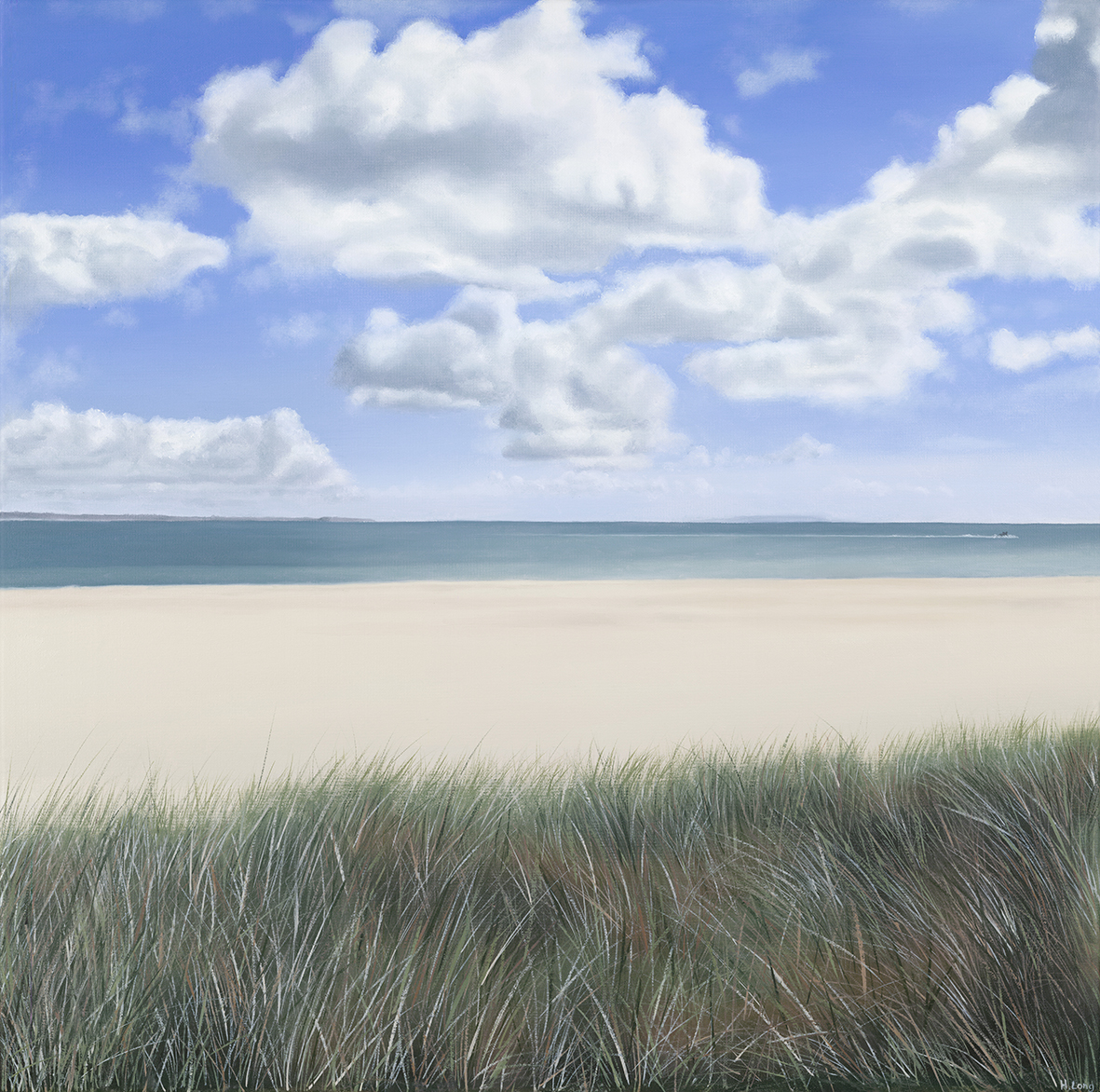 H Long_Dunes_Studland_leaflet