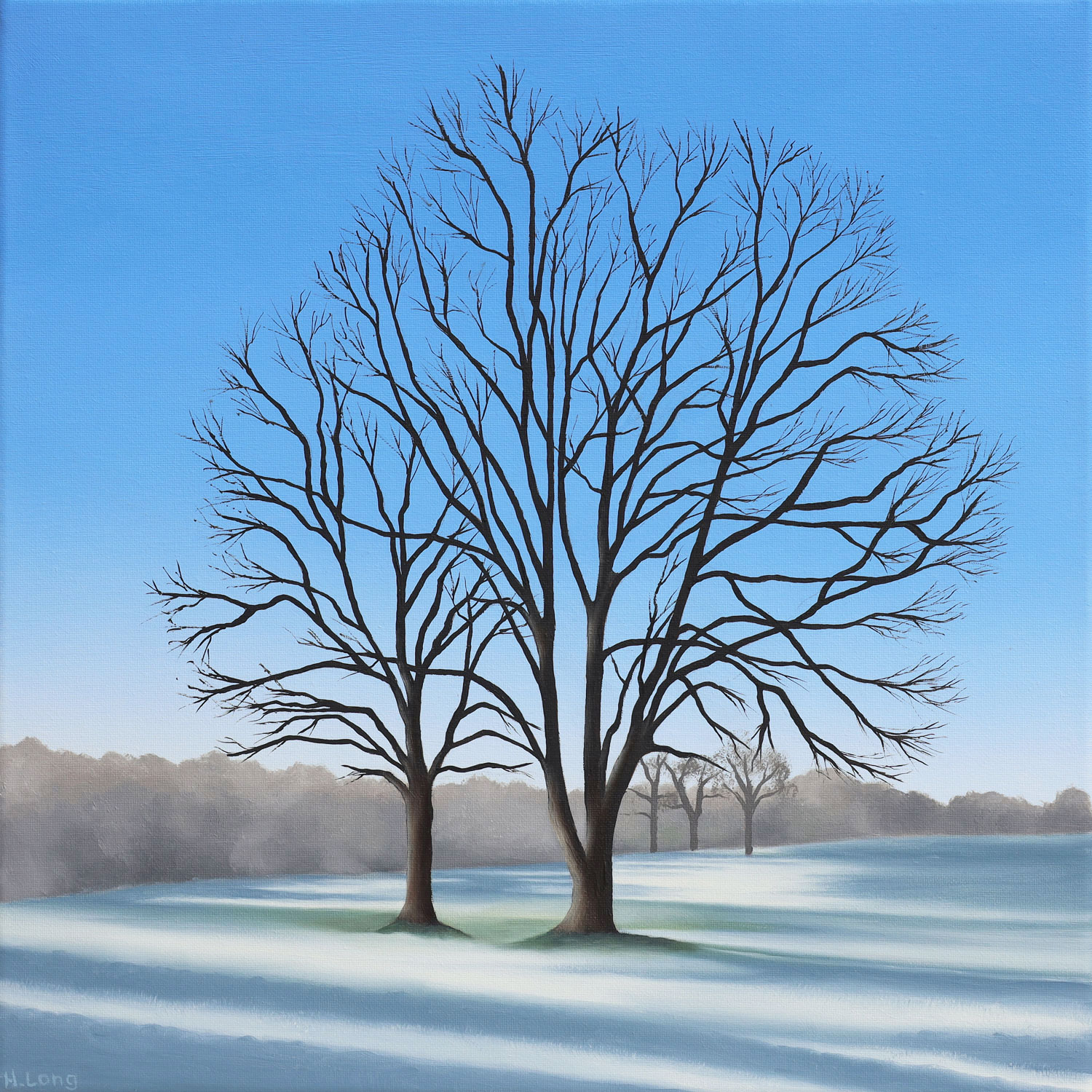 H Long_Frosty_Field_II