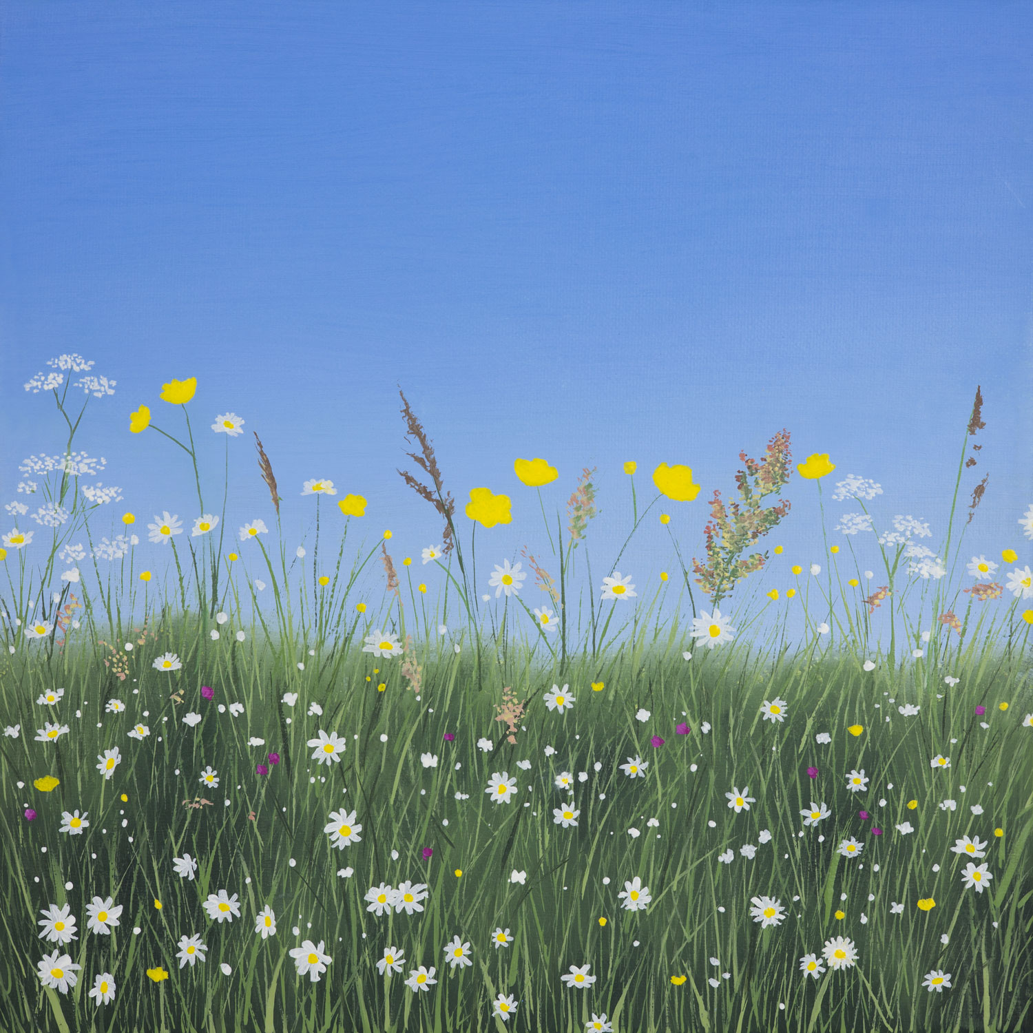 Helen Long