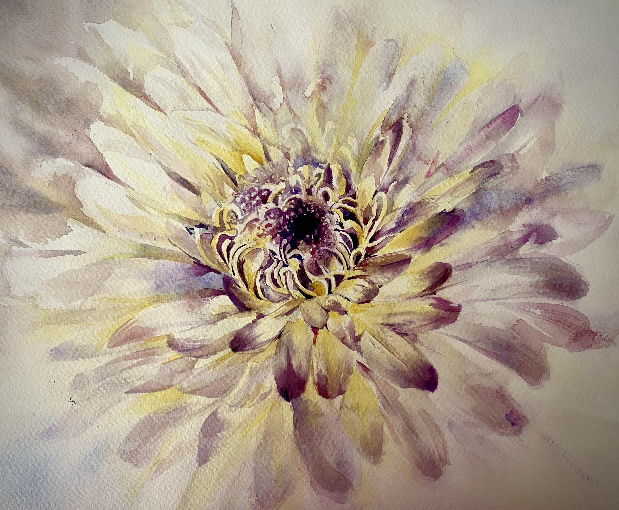 Dahlia