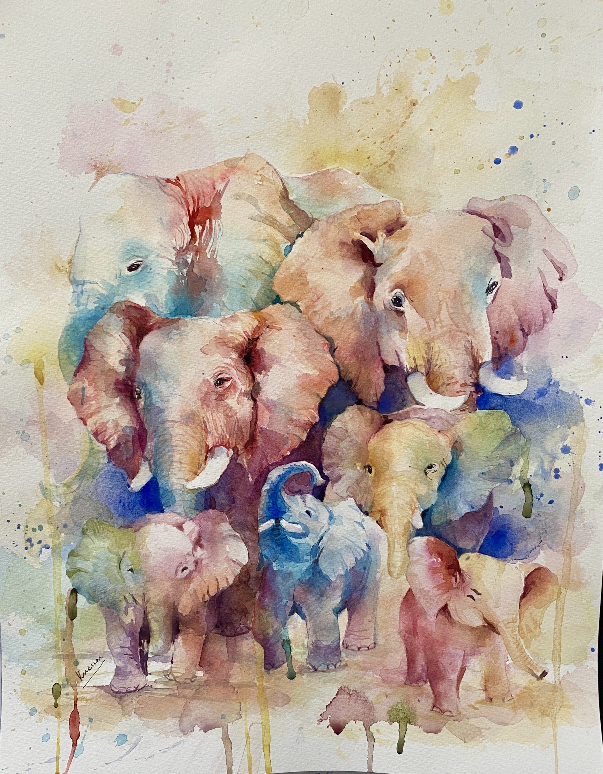 The Herd