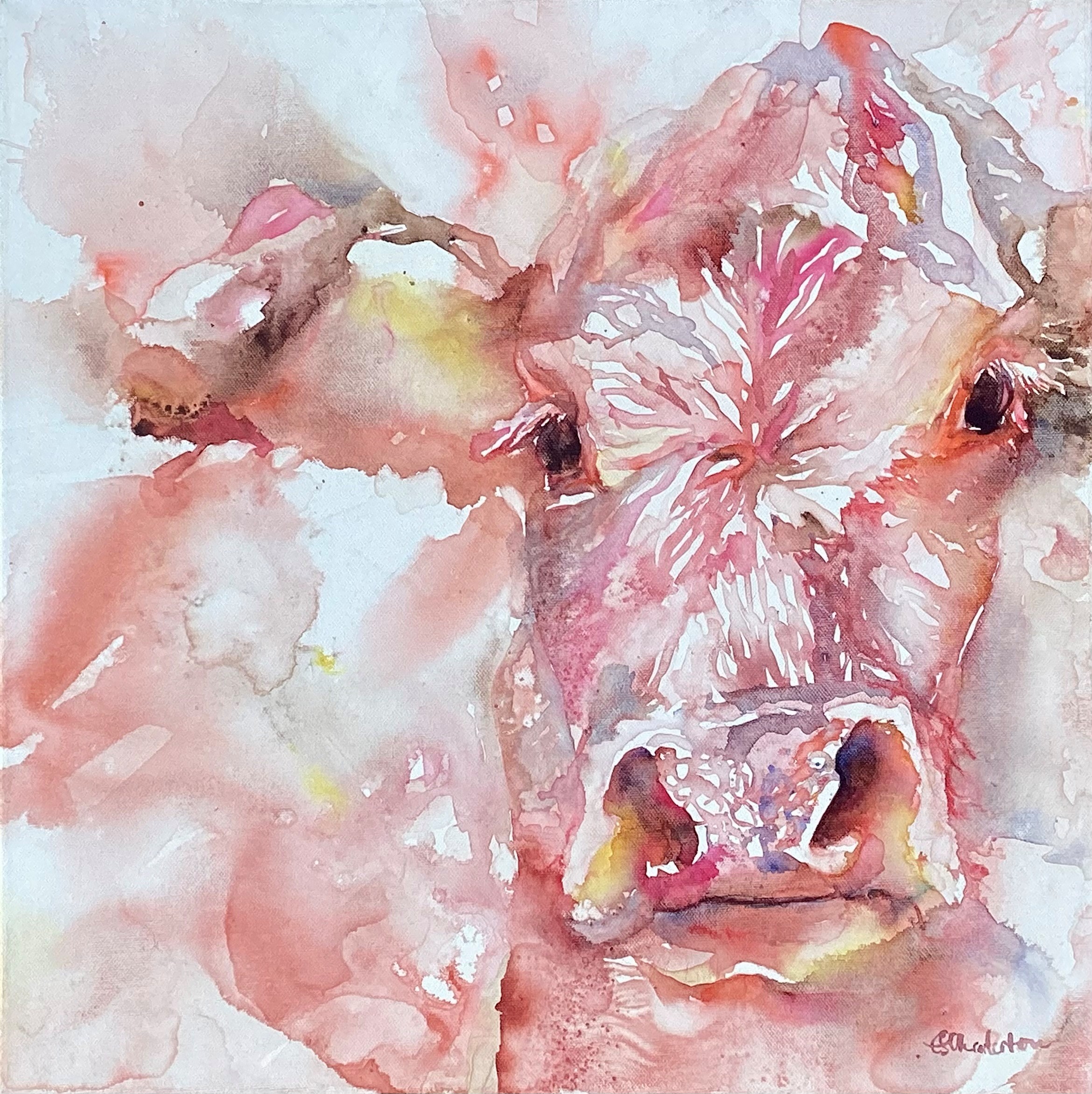 LizChaderton_cow
