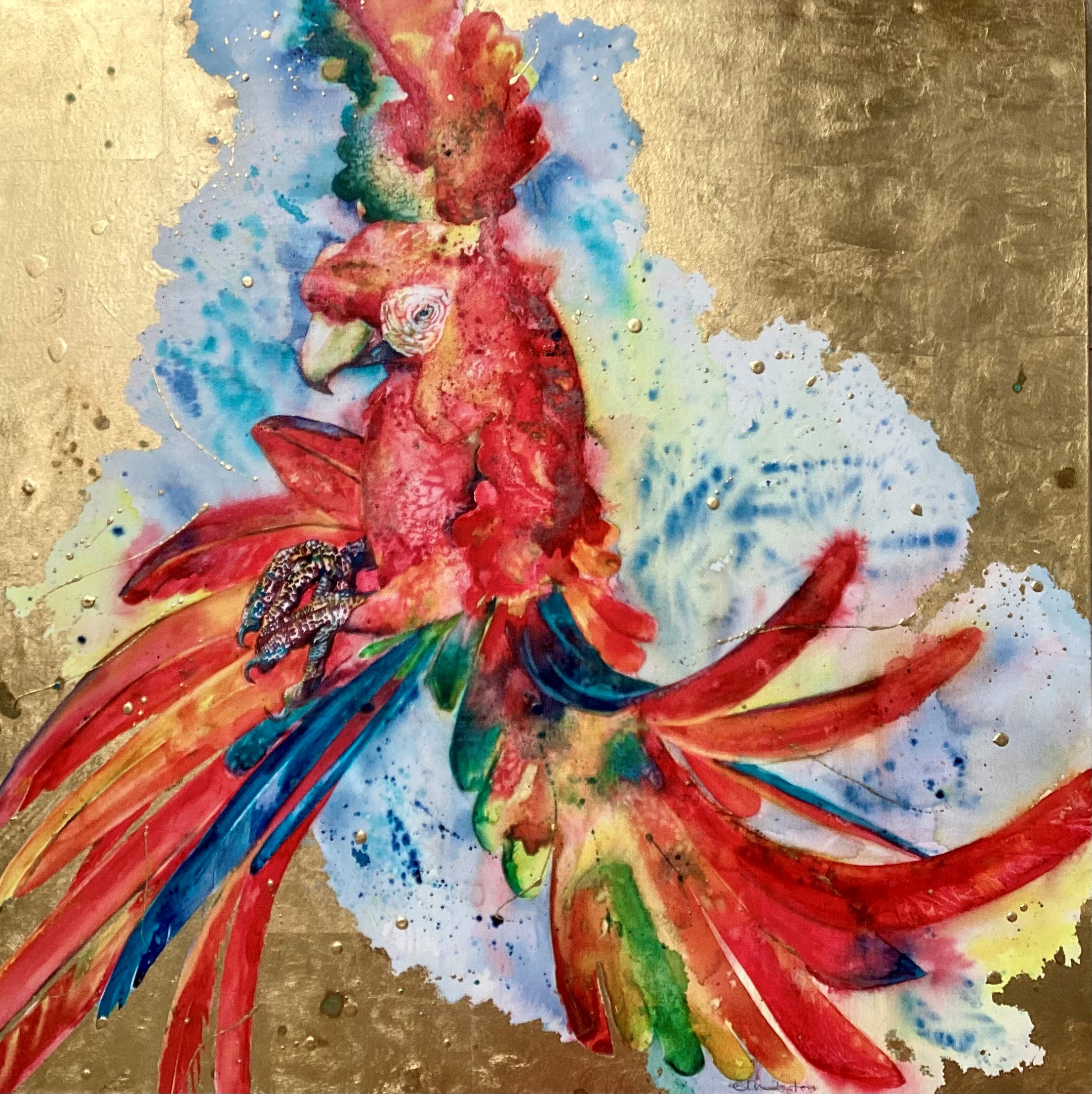 LizChaderton_macaw