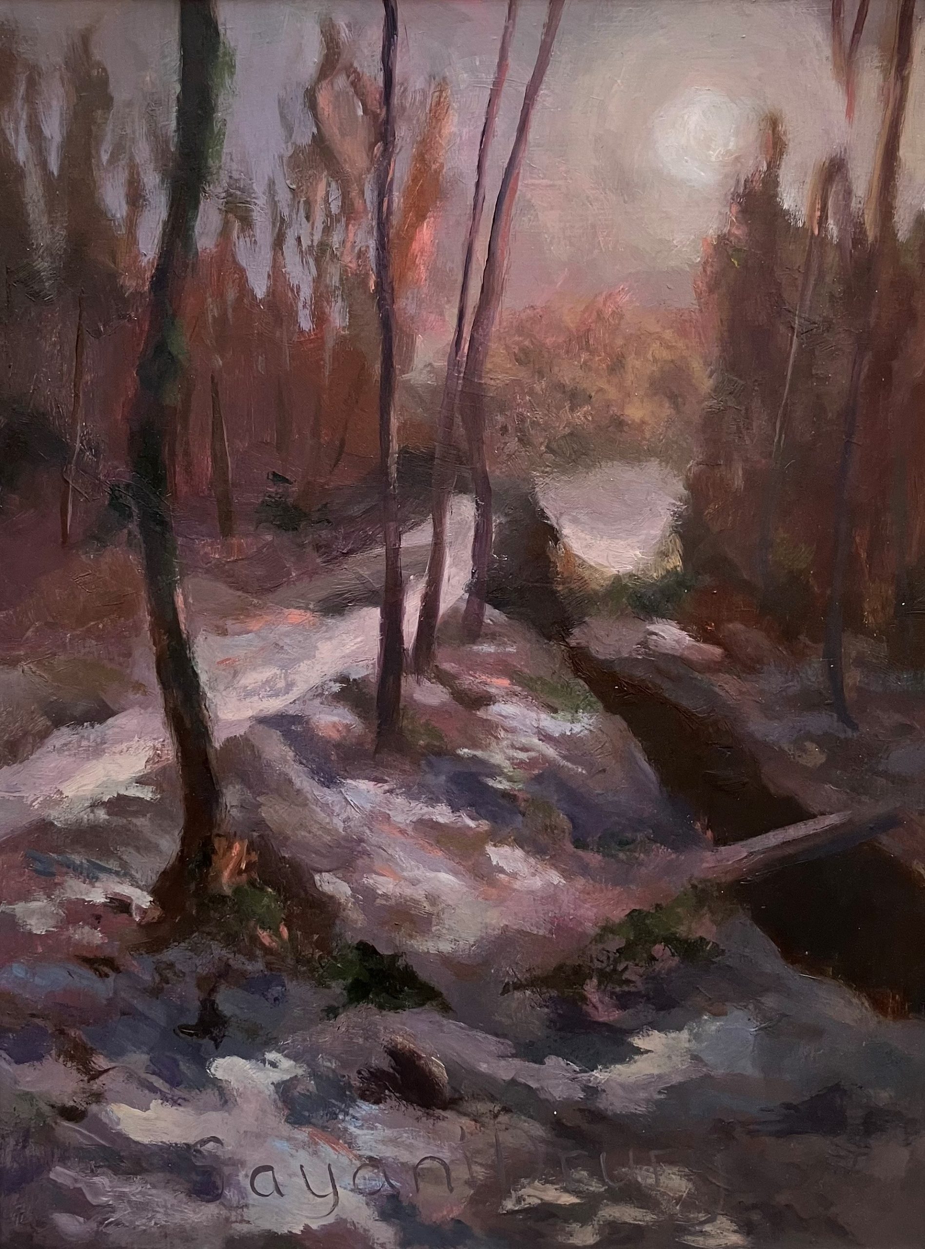 SayaniDrury_Snowy landscape
