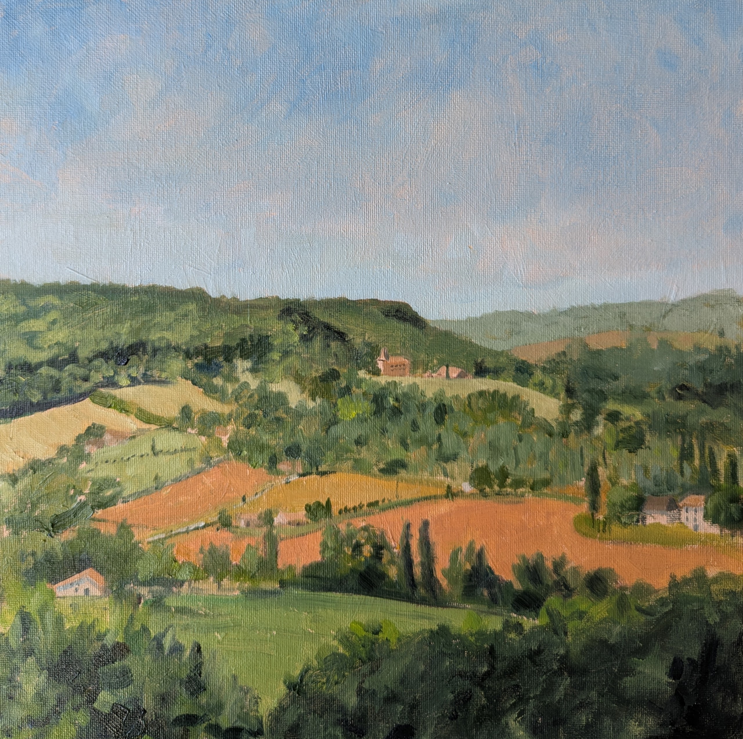 ShelaghCaseborne_Aquitaine landscape