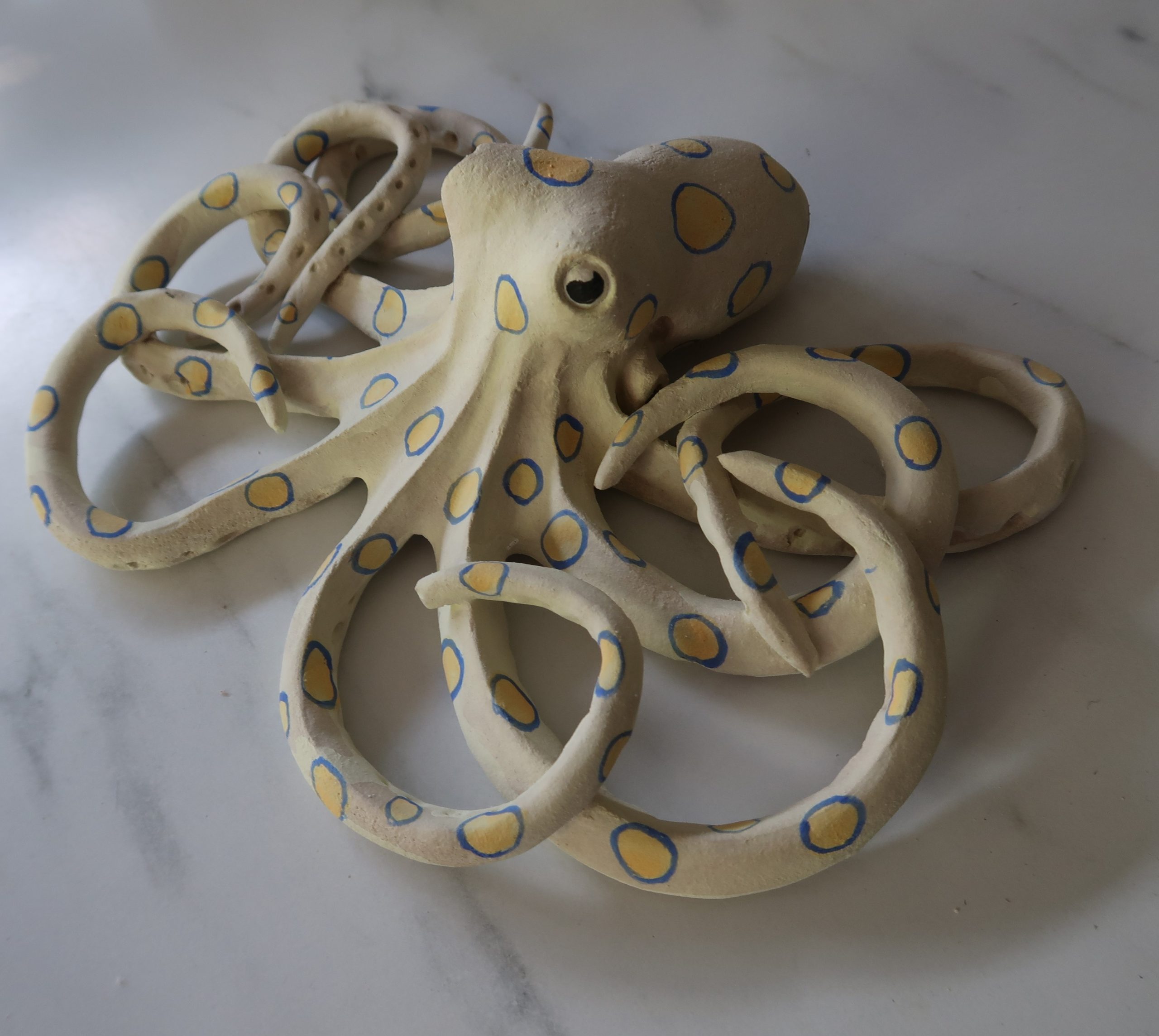 ShirleySmith_BlueRinged Octopus