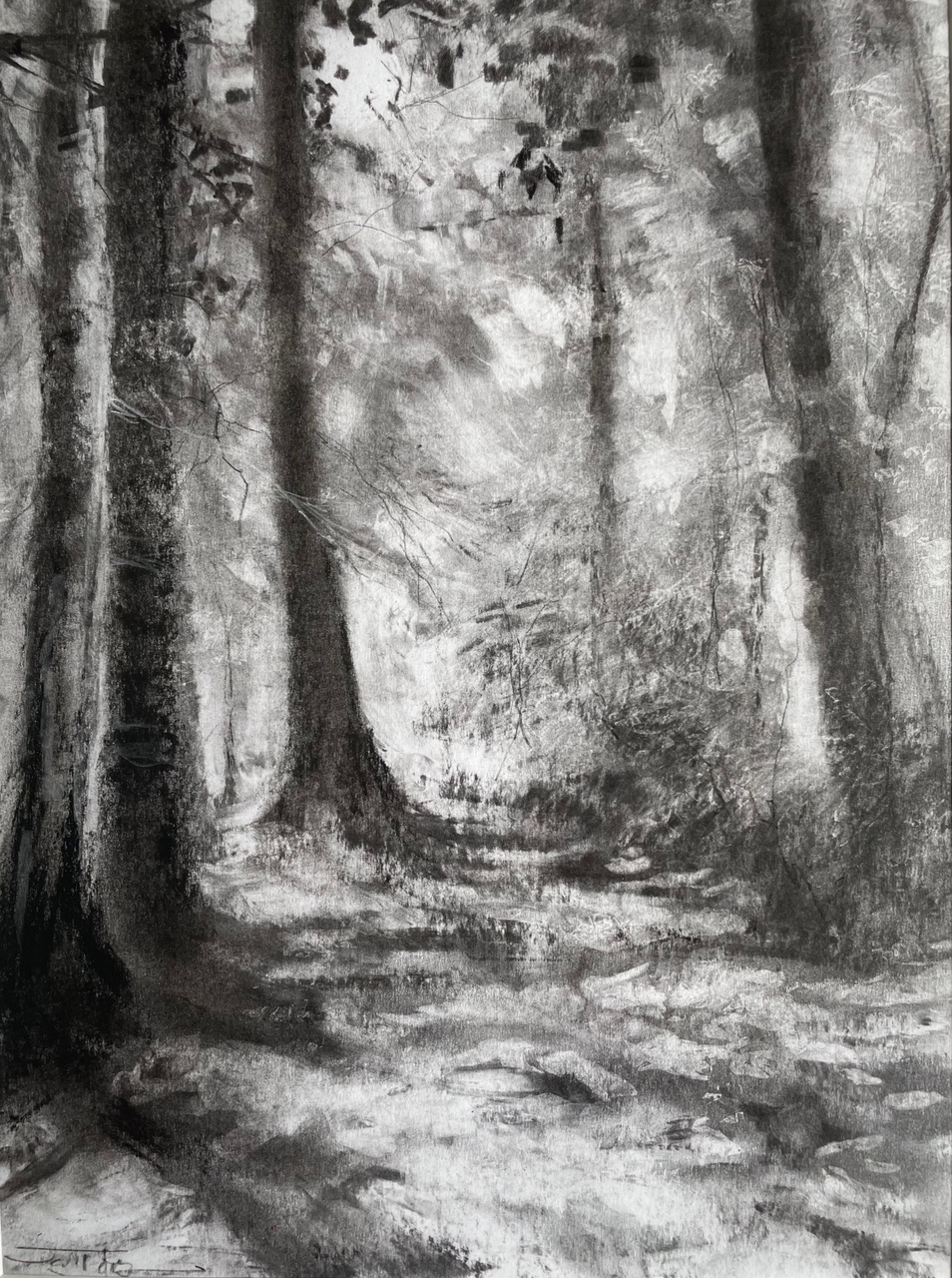 Sonia Scott-Job Dappled Glade