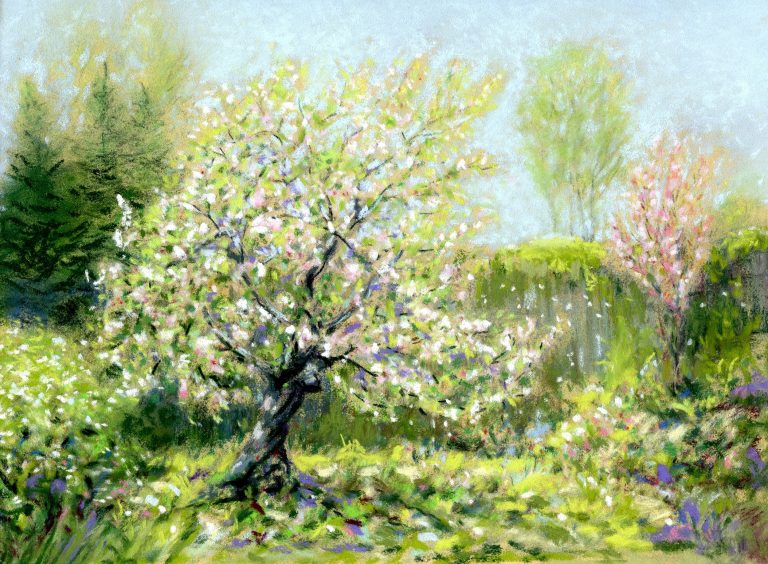 2 jo halll apple tree